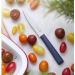 Opinel Essential No 313 Green