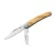 LionSteel Jack Two Olive