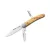 LionSteel Jack Three Olive