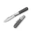 LionSteel Roundhead Barlow - Carbon Fiber