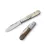 LionSteel Roundhead Barlow - Ram Horn