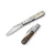LionSteel Shuffler Barlow - Ram Horn