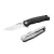 LionSteel Q4ttro - G10 Black