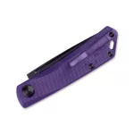 Real Steel Luna Lux DLC Purple
