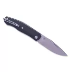Real Steel Serenity G10 - Black