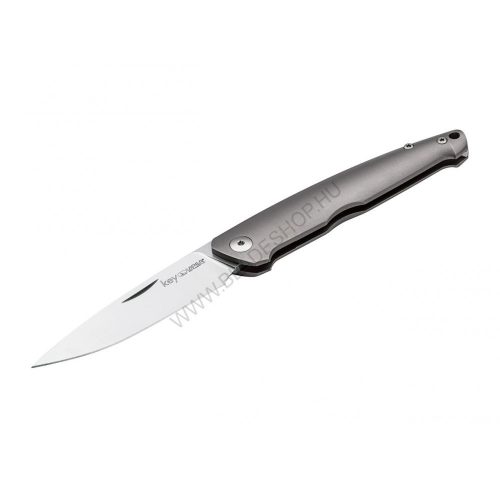 Viper Key Titanium