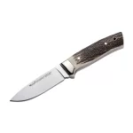 Muela Kodiak Stag
