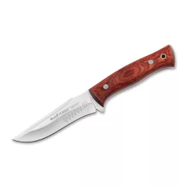 Muela Pointer