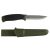 Mora Companion MG Stainless