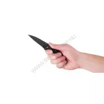Kershaw Leek - Black