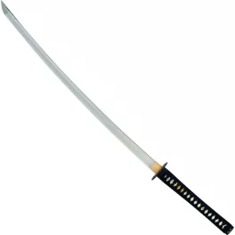 John Lee Practical Katana