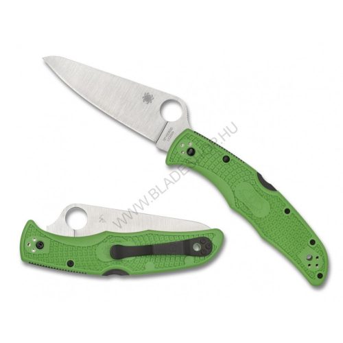 Spyderco Pacific Salt 2 Green LC200N