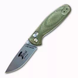 ESEE Medellin II