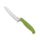 Spyderco Z-Cut Pointed Tip - Plain Edge - Green