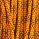 Sweet Fall - 550 Paracord Type III.