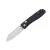 Kizer Renissance Blue Richlite